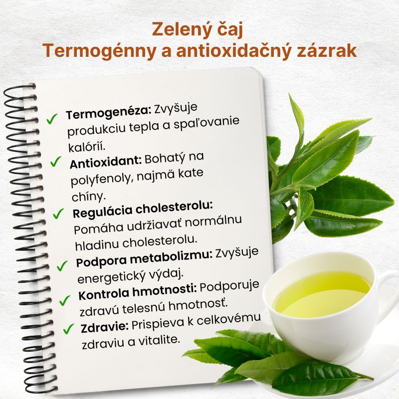 (Slovenčina) Chitosan  Přírodní pomocník při vázání tuků (1)
